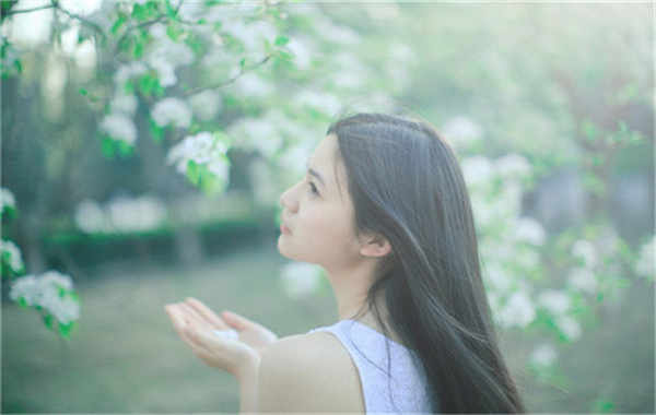 察哈尔右翼前验血查男女几周可以验(验血查男女结果图)